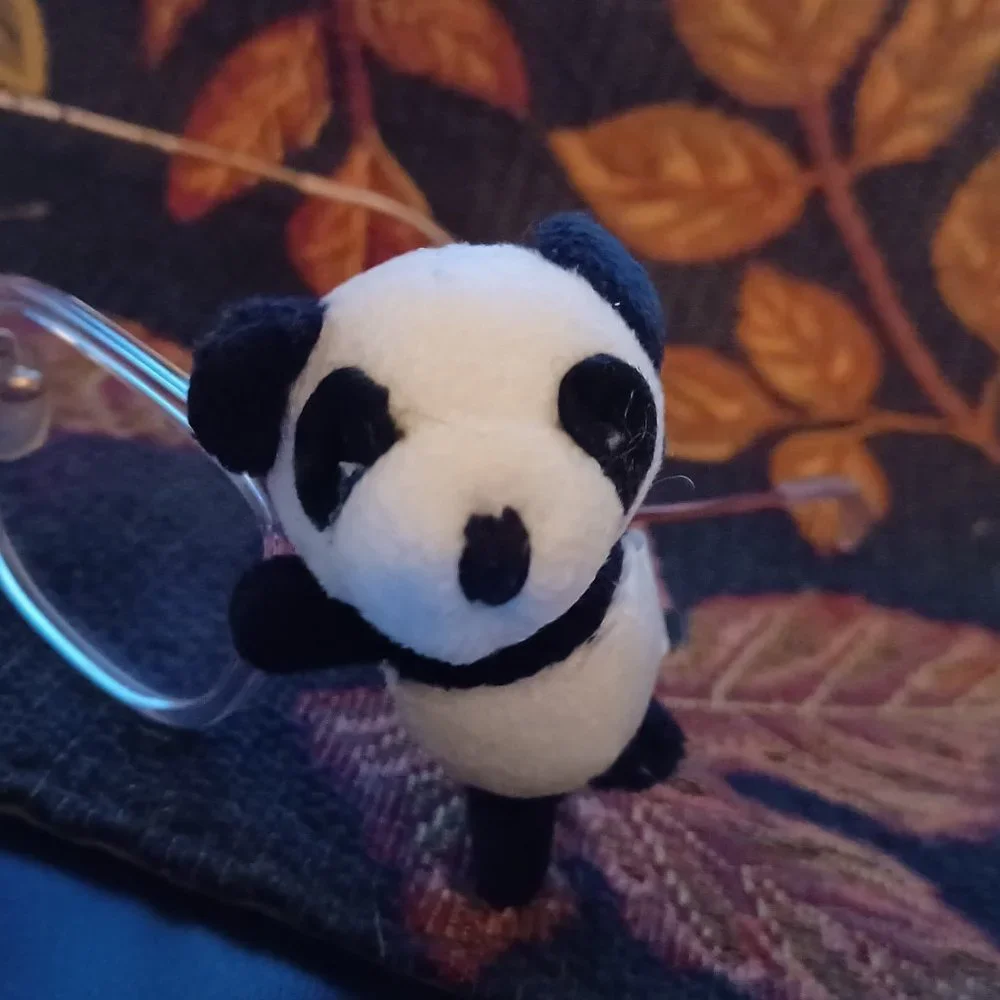 New Vintage Icon Eyewear Kids Eyeglasses buddy / Pal Panda Fit All Glasses